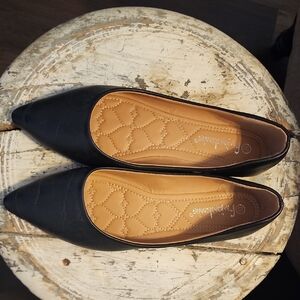 Black Pointed Toe Flats